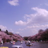 井の頭公園