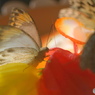 生物園Ⅲ－２