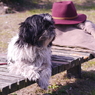春うらら：写真句