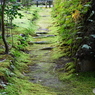 法然院　苔のみち