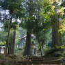 瀧浪神社と境内（七ツ滝より）