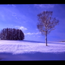 雪のち晴れ