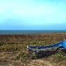 石狩の海岸