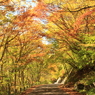 2014　松川渓谷の紅葉