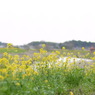 P1080454