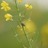 P1080461