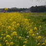 P1080411
