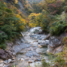 蛇谷川沿いの遊歩道から見た景色１（2015秋の白山白川郷ホワイトロードより）