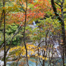 蛇谷川沿いの遊歩道から見た景色３（2015秋の白山白川郷ホワイトロードより）