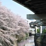 江戸川橋公園