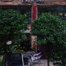 2016 Shanghai