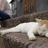 休む