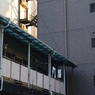 わび　その11