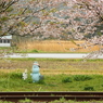 ムーミンのいる駅～桜～