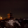 京都高台寺