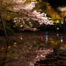 京都清水寺