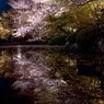 京都清水寺