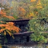 秩父鉱山に潜入する