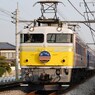 EF81-79