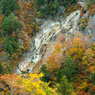 遠くから姥ヶ滝（2015秋の白山白川郷ホワイトロードより）