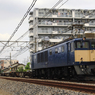 EF64-1019