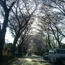 CIMG9248