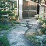 茶々１