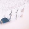 Snow♡