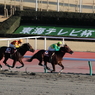2016東海S