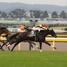 2013アルテミスS