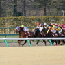 2013東海S