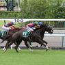 2014CBC賞
