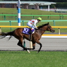 2014NHKマイルC