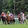 2014札幌記念