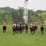 2014優駿牝馬