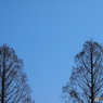 冬空04