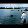 お台場海浜公園