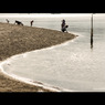 お台場海浜公園