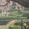 小春日和
