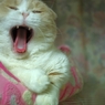 gooooood night...01
