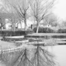 Silky Reflection