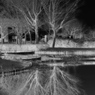 Nega Reflection