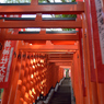 山王稲荷参道