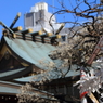 湯島天満宮8