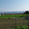 IMGP3295