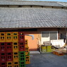 IMGP3310