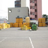IMGP3379