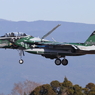 新田原80　杉焦がし伝説…