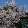 きっとまた行けるね！　京都２