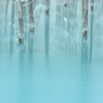 Continuous　blue